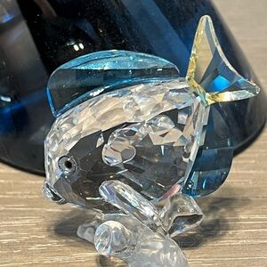 SWAROVSKI SCS Figurine 2007 Blue Tang Fish Colored 886180 MIB Trilogy Gift